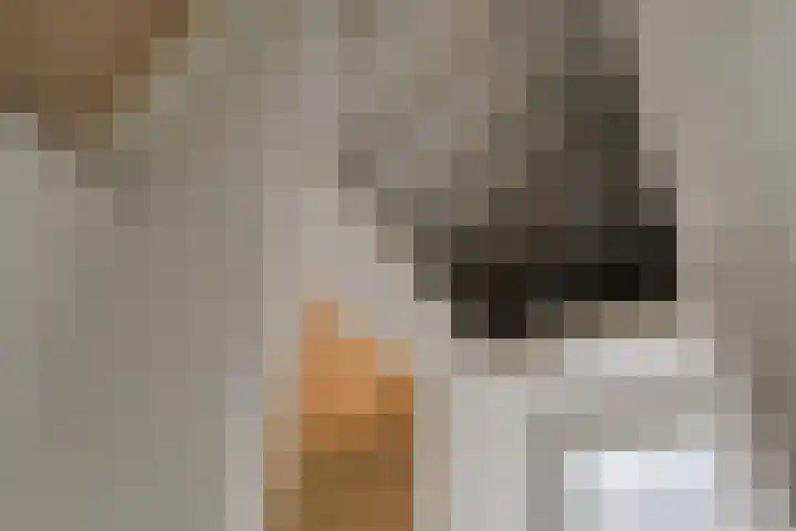 Cornelis Haringhuizenlaan 20 Midwoud thumbnail 46