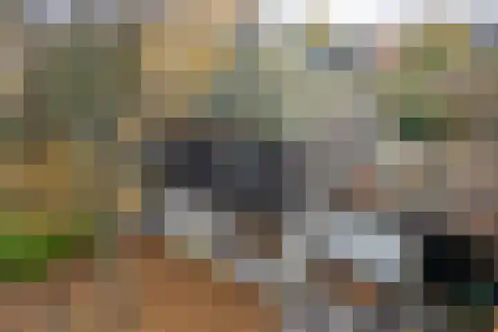 Cornelis Haringhuizenlaan 20 Midwoud thumbnail 48