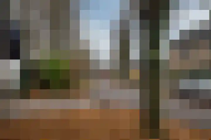 Cornelis Haringhuizenlaan 20 Midwoud thumbnail 49