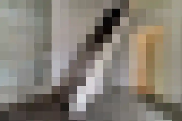 Cornelis Haringhuizenlaan 20 Midwoud thumbnail 6