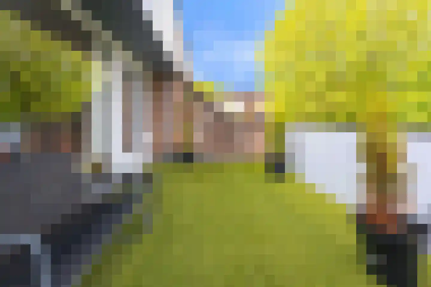 Cornelis Haringhuizenlaan 22 B Midwoud thumbnail 36