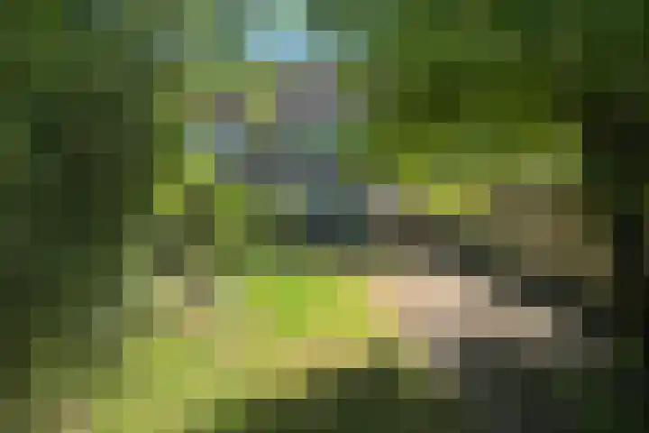 Cornelis Haringhuizenlaan 87 Midwoud thumbnail 23