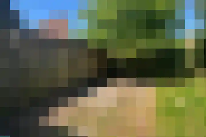 Cornelis Haringhuizenlaan 87 Midwoud thumbnail 24