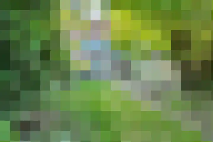 Cornelis Haringhuizenlaan 87 Midwoud thumbnail 9