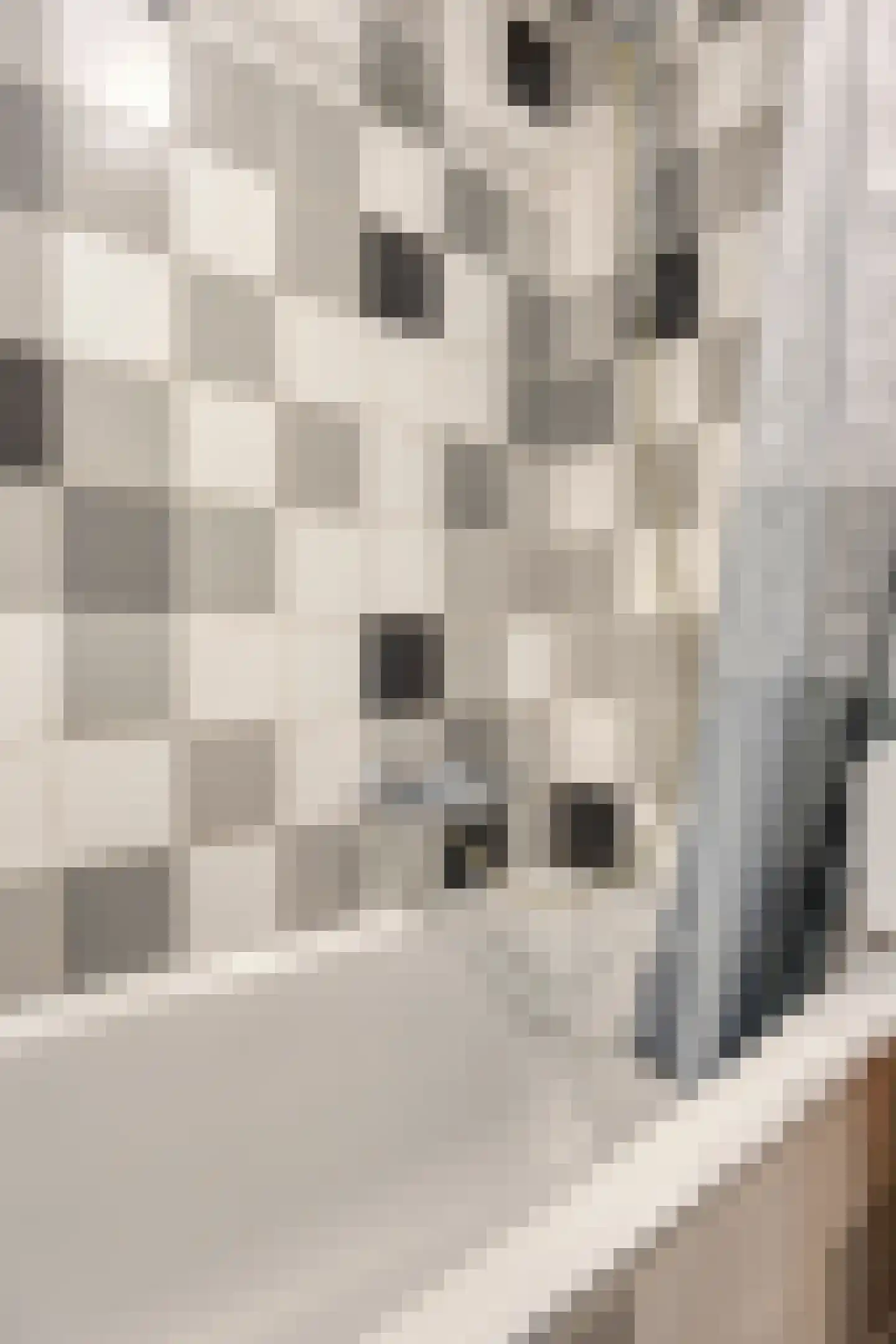 Cornelis Heinricksestraat 15 Rotterdam thumbnail 21