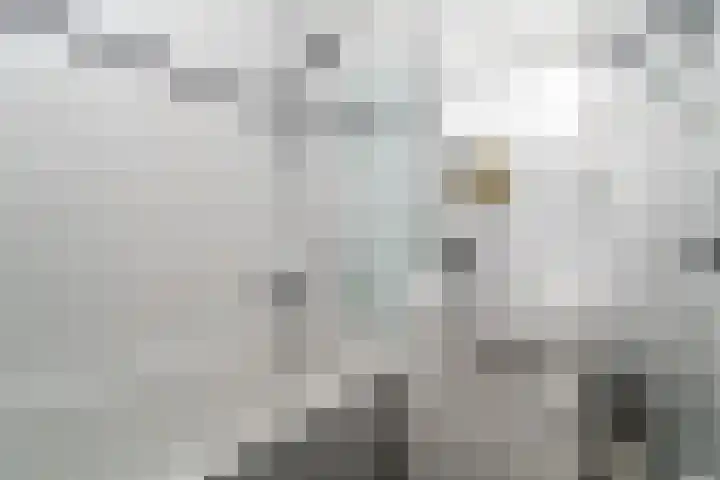 Cornelis Heinricksestraat 37 Rotterdam thumbnail 20