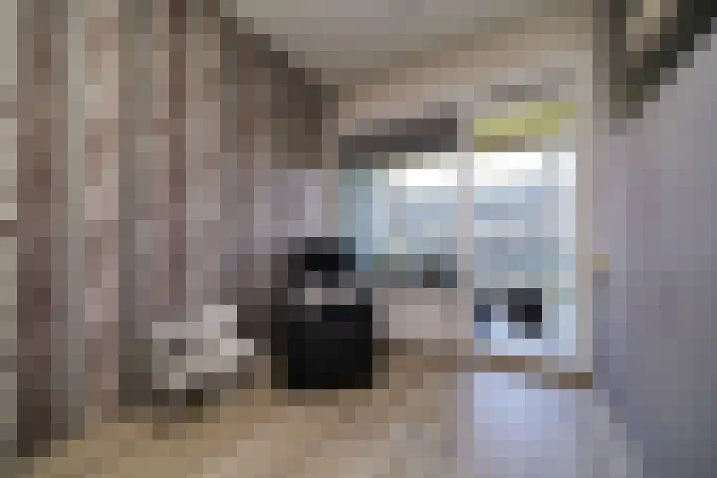 Cornelis Heinricksestraat 48 Rotterdam thumbnail 10