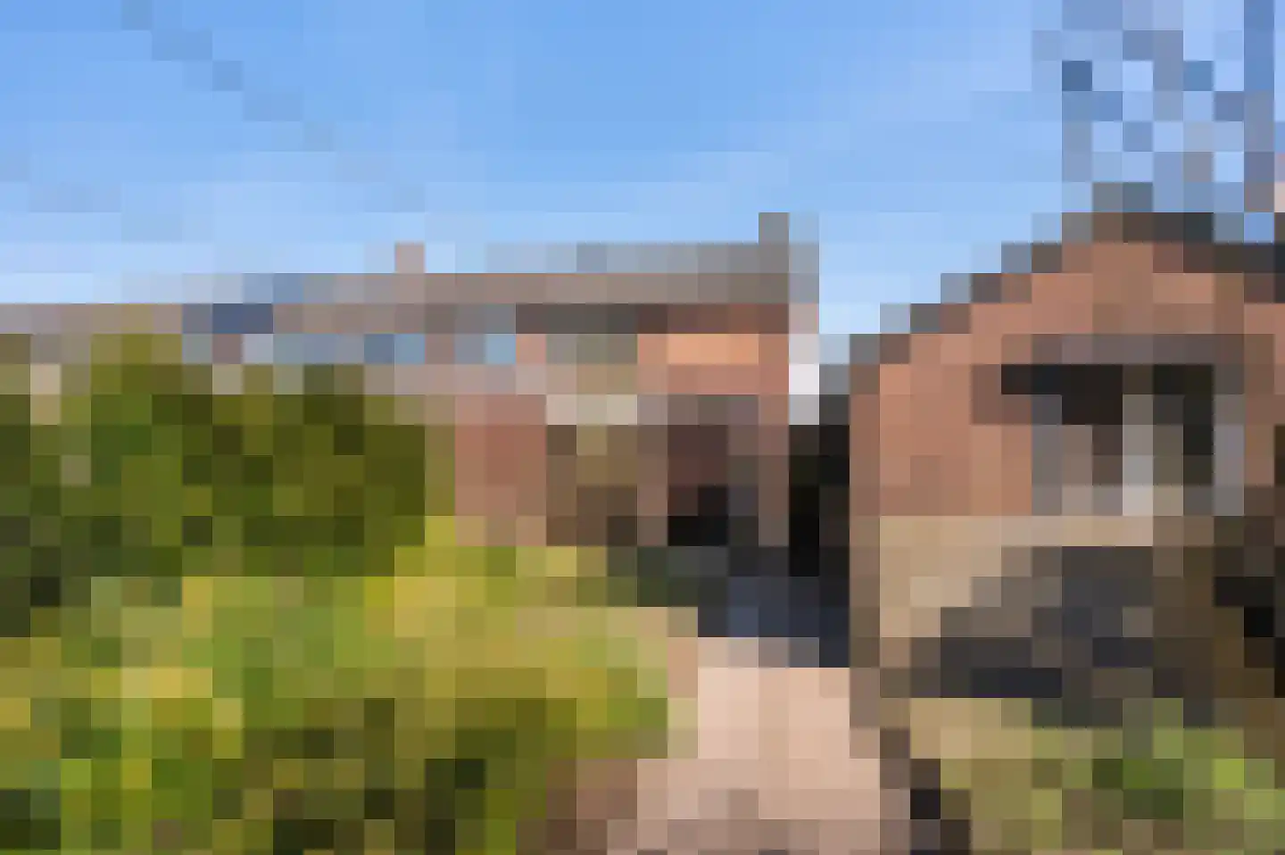 Cornelis Hendrixstraat 1 Loenen thumbnail 23