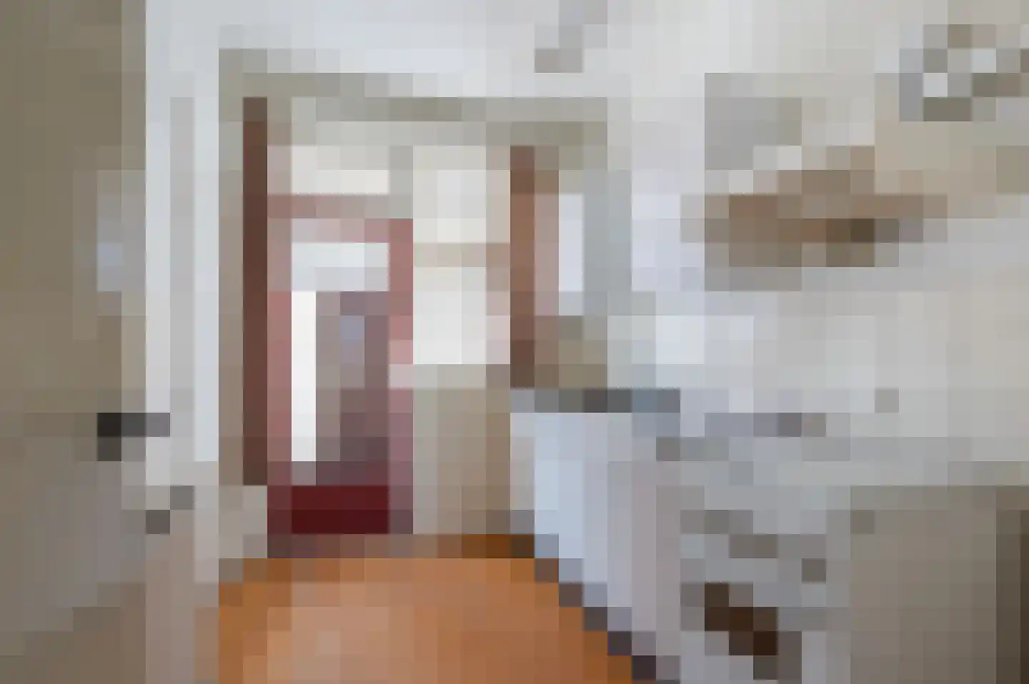 Cornelis Hendrixstraat 1 Loenen thumbnail 8