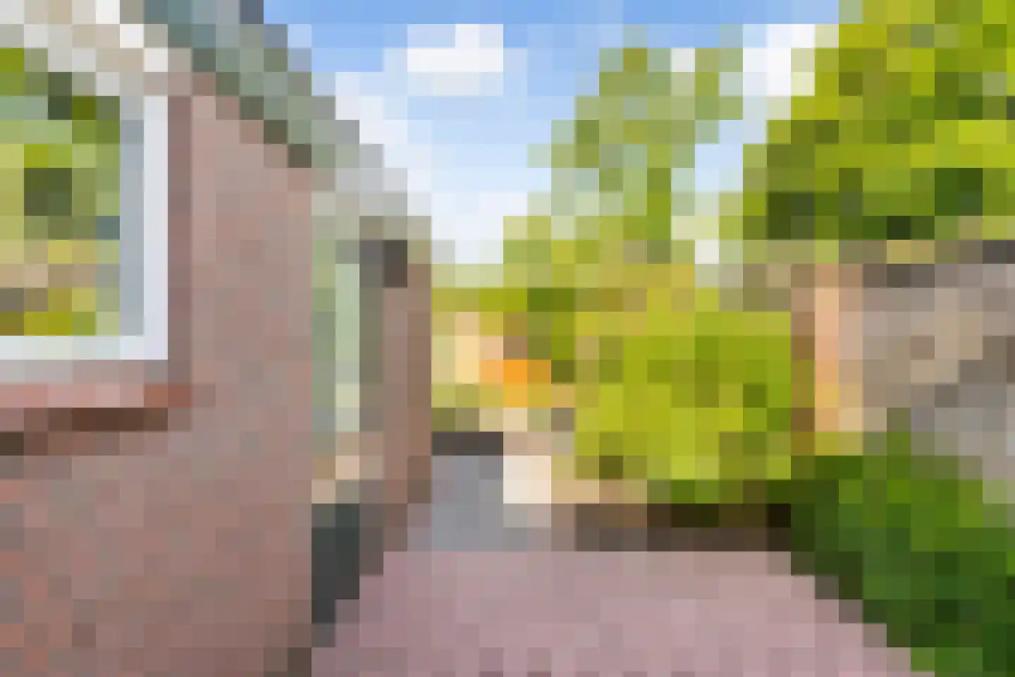 Cornelis Hendrixstraat 13 Loenen thumbnail 28
