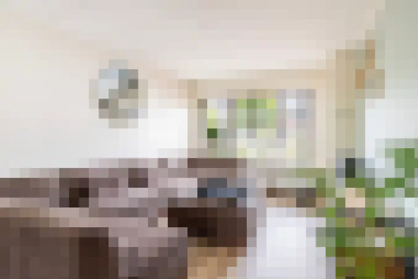 Cornelis Hendrixstraat 13 Loenen thumbnail 7