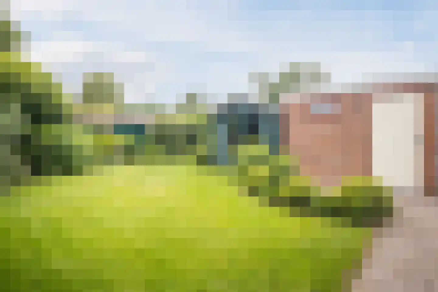 Cornelis Hendrixstraat 19 Loenen thumbnail 11