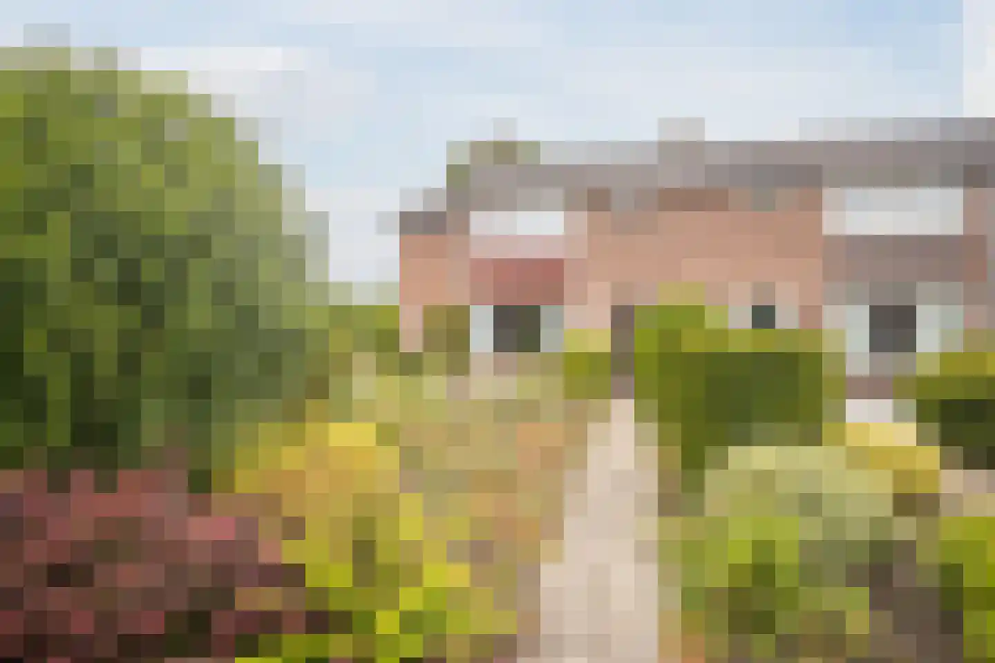 Cornelis Hendrixstraat 19 Loenen thumbnail 5