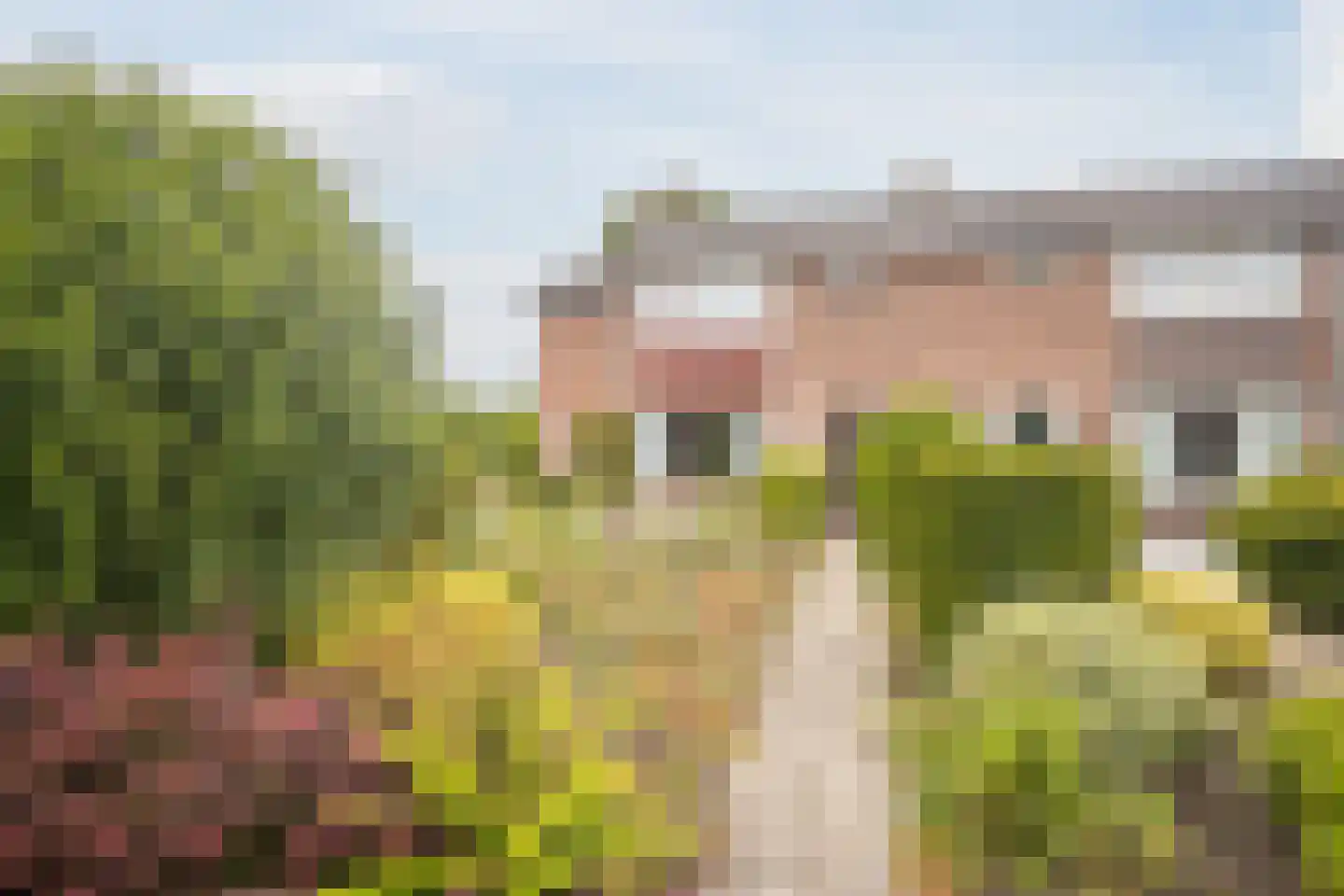 Cornelis Hendrixstraat 19 Loenen thumbnail 6