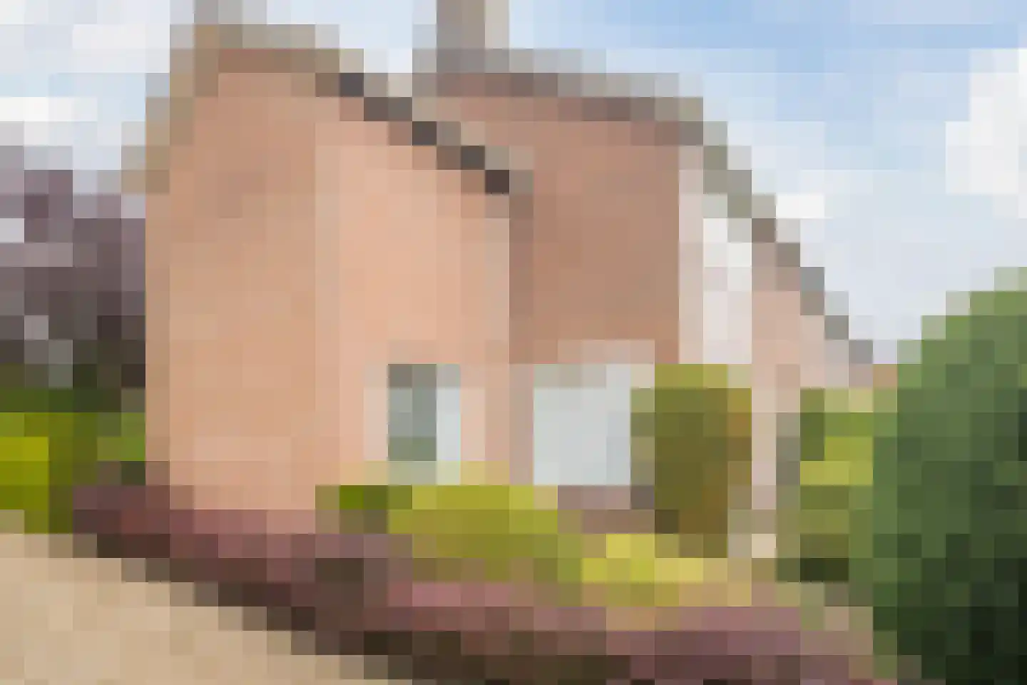 Cornelis Hendrixstraat 19 Loenen thumbnail 8