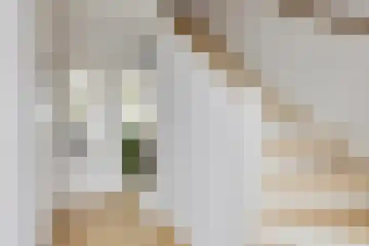 Cornelis Houtmanplein 19 Maasdijk thumbnail 11
