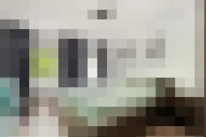 Cornelis Houtmanplein 19 Maasdijk thumbnail 13
