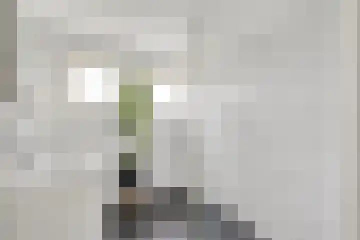 Cornelis Houtmanplein 19 Maasdijk thumbnail 14