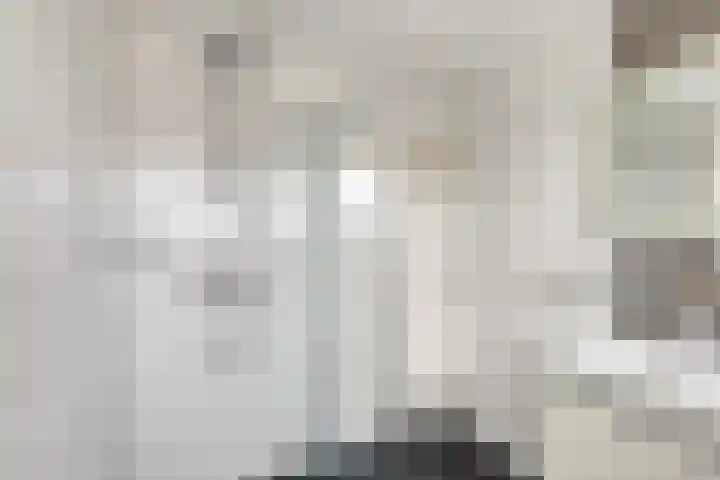 Cornelis Houtmanplein 19 Maasdijk thumbnail 15