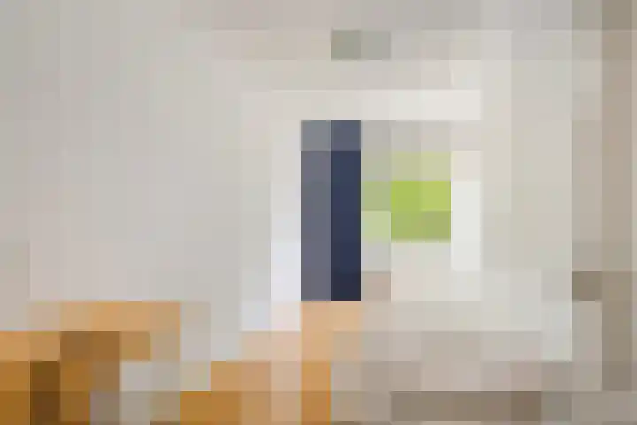 Cornelis Houtmanplein 19 Maasdijk thumbnail 16