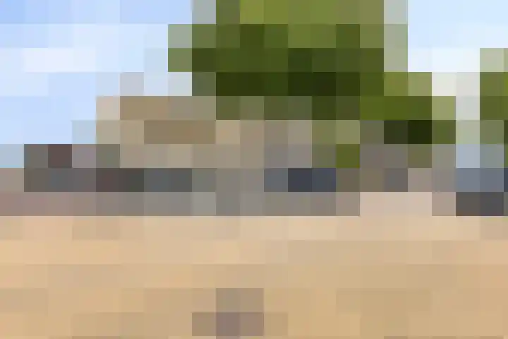Cornelis Houtmanplein 19 Maasdijk thumbnail 20