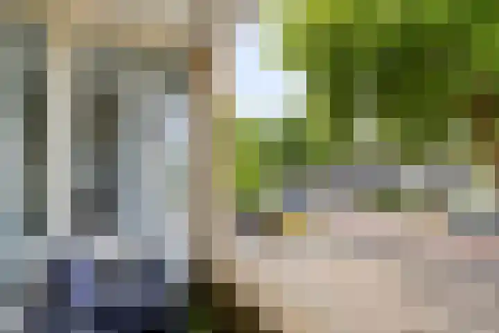 Cornelis Houtmanplein 19 Maasdijk thumbnail 6
