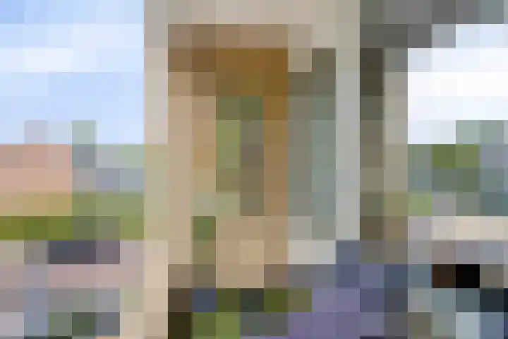 Cornelis Houtmanplein 19 Maasdijk thumbnail 7