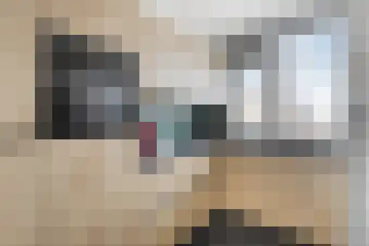 Cornelis Houtmanplein 19 Maasdijk thumbnail 8
