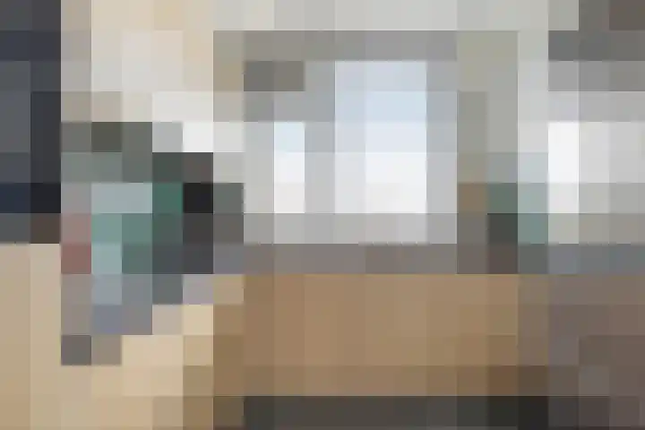 Cornelis Houtmanplein 19 Maasdijk thumbnail 9