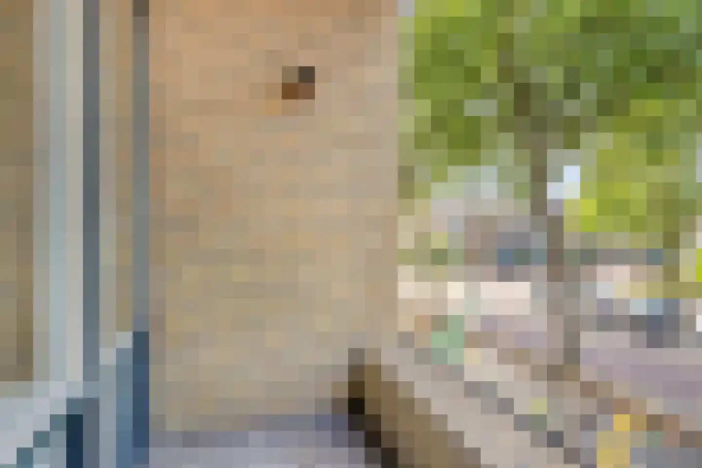 Cornelis Houtmanplein 25 Maasdijk thumbnail 14