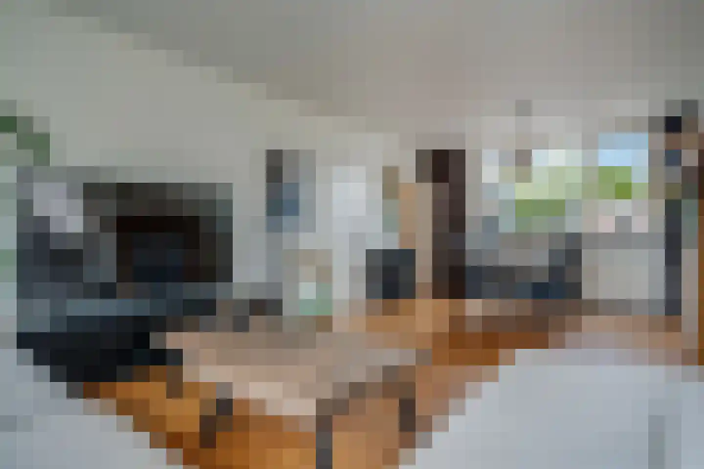 Cornelis Houtmanstraat 22 Delfzijl thumbnail 22