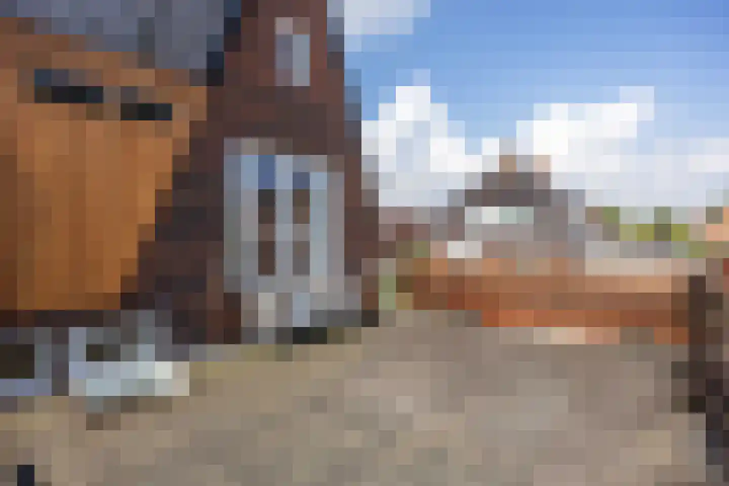 Cornelis Houtmanstraat 25 Delfzijl thumbnail 50