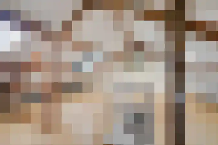 Cornelis Houtmanstraat 5 Rheden thumbnail 17