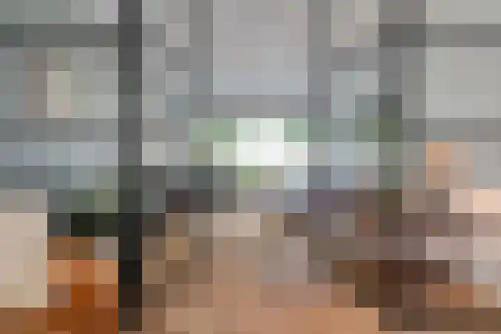 Cornelis Houtmanstraat 5 Zwolle thumbnail 11
