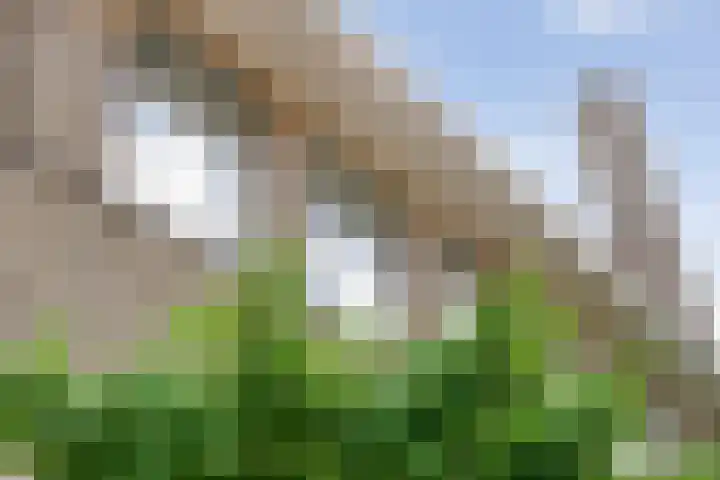 Cornelis Houtmanstraat 5 Zwolle thumbnail 4