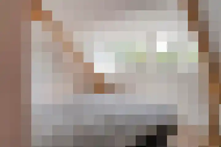 Cornelis Houtmanstraat 5 Zwolle thumbnail 42