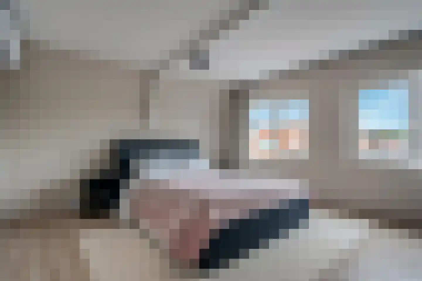 Cornelis Houtmanstraat 51 Delfzijl thumbnail 34