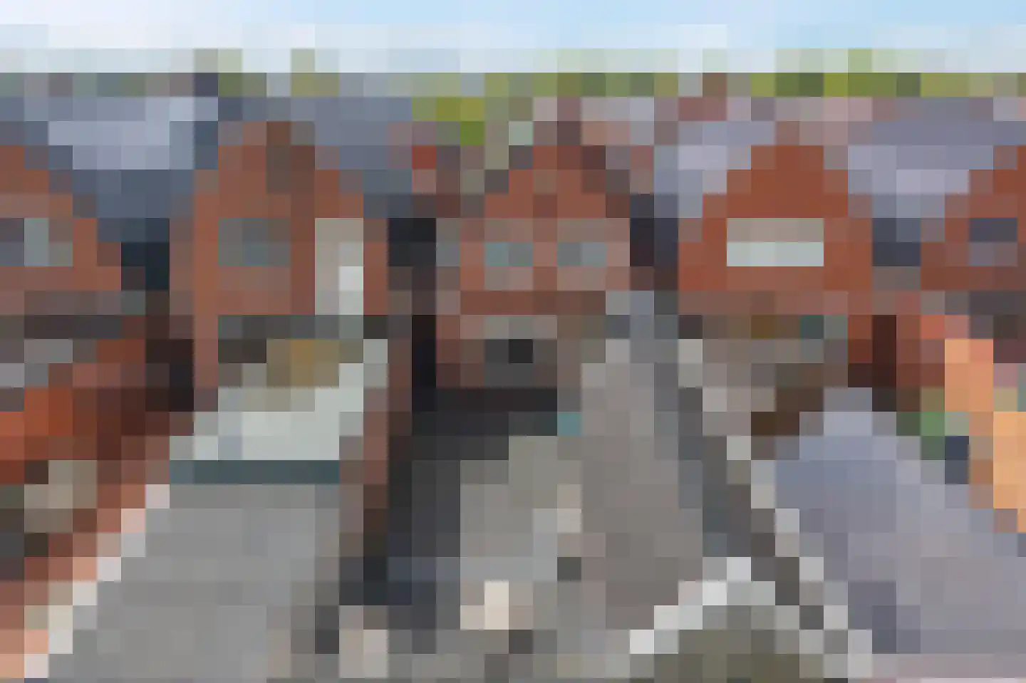 Cornelis Houtmanstraat 51 Delfzijl thumbnail 49