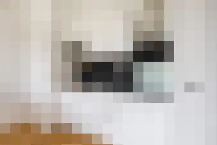 Cornelis Houtmanstraat 6 C Utrecht thumbnail 19