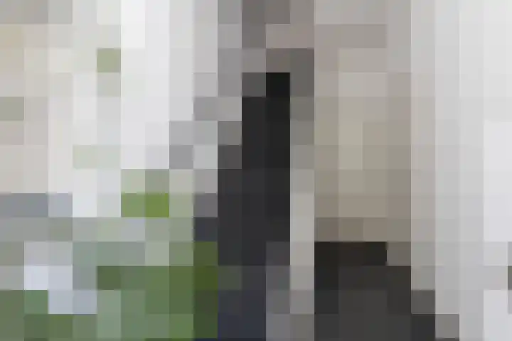 Cornelis Houtmanstraat 6 C Utrecht thumbnail 4