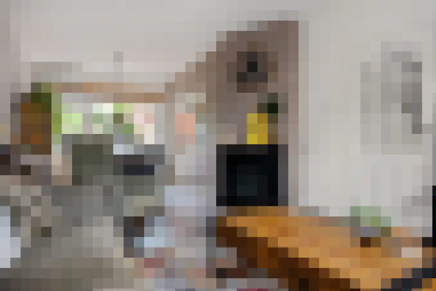Cornelis Houtmanstraat 6 Delfzijl thumbnail 23
