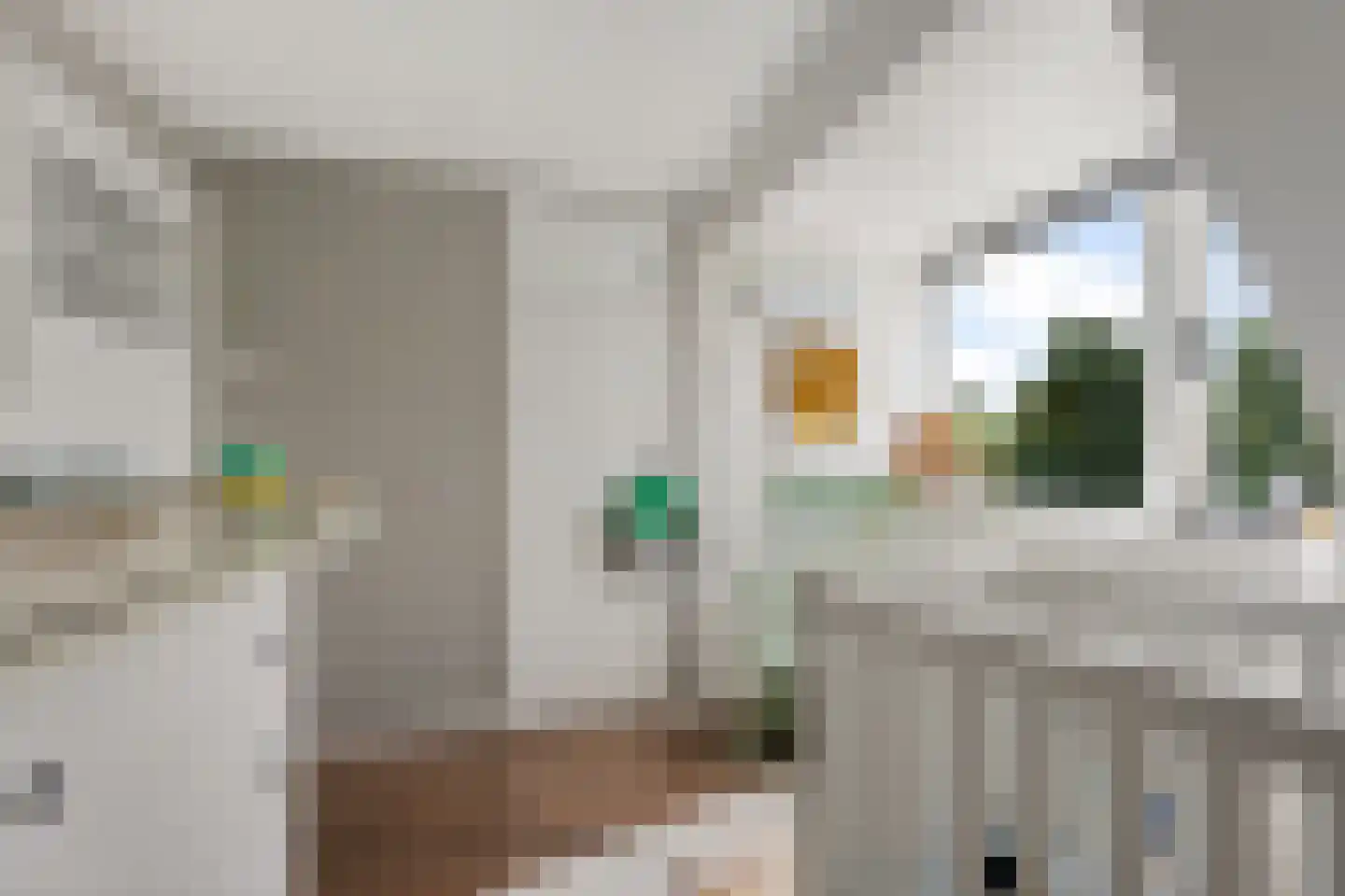 Cornelis Houtmanstraat 6 Delfzijl thumbnail 46