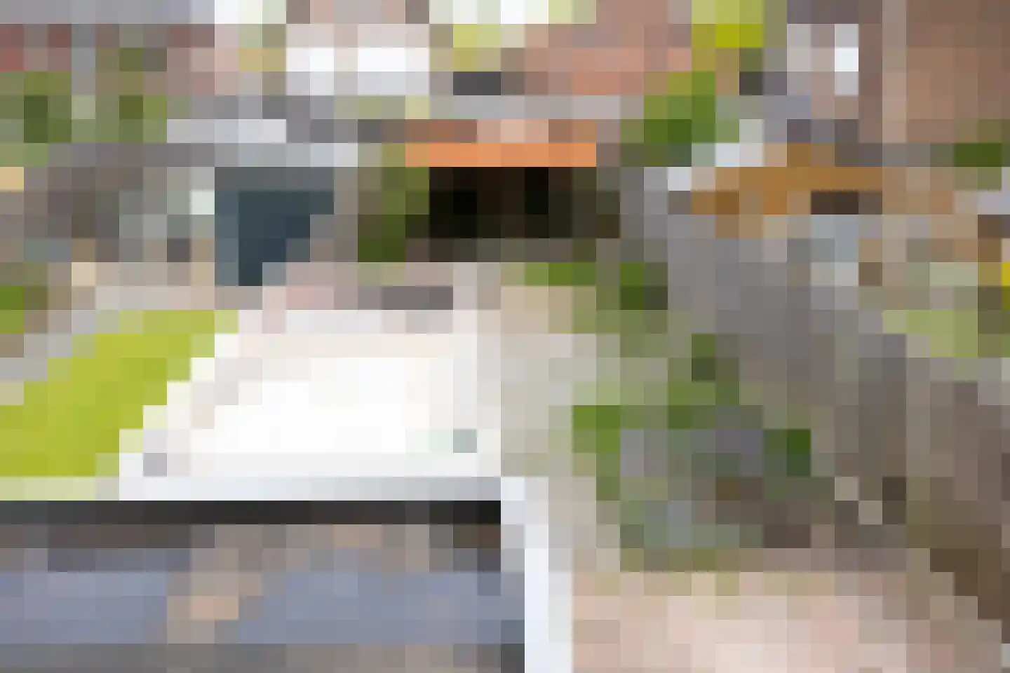 Cornelis Houtmanstraat 6 Enschede thumbnail 27