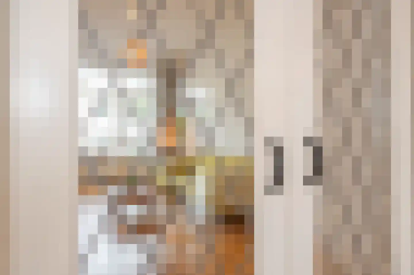 Cornelis Houtmanstraat 63 Den Haag thumbnail 18