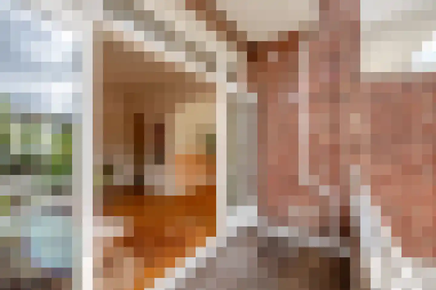 Cornelis Houtmanstraat 63 Den Haag thumbnail 25