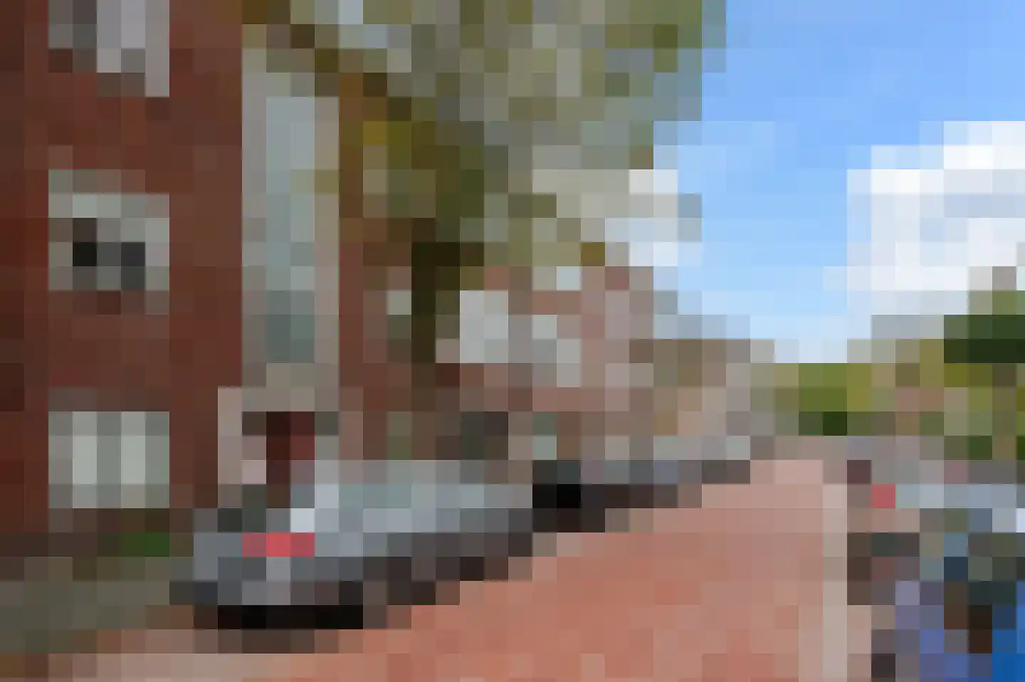 Cornelis Houtmanstraat 63 Den Haag thumbnail 46