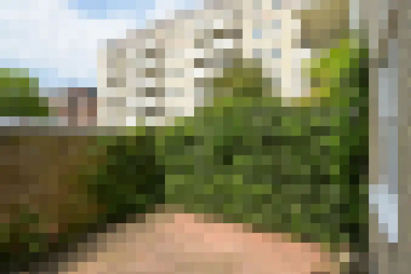 Cornelis Houtmanstraat 7 A Den Haag thumbnail 16
