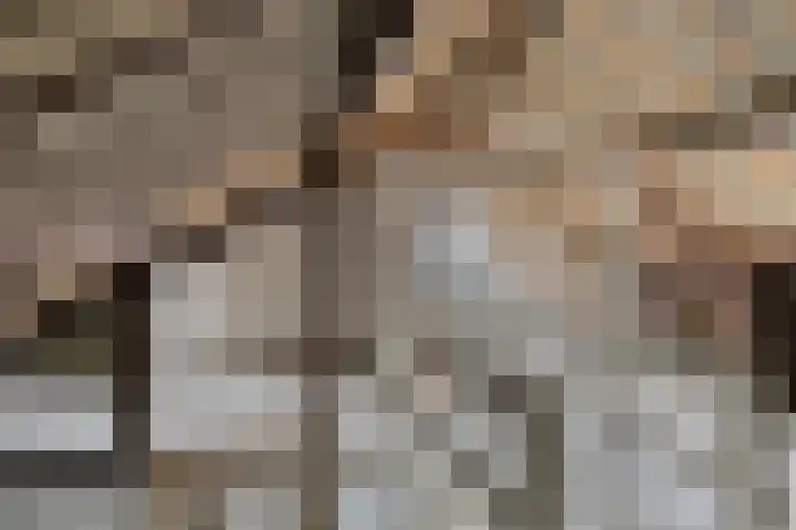 Cornelis Houtmanstraat 7 Rheden thumbnail 21