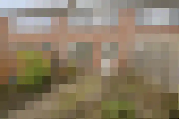 Cornelis Houtmanstraat 7 Rheden thumbnail 23