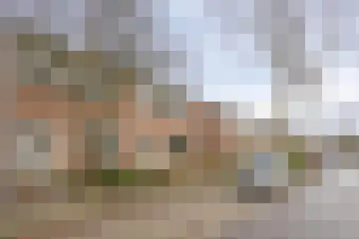 Cornelis Houtmanstraat 7 Rheden thumbnail 24